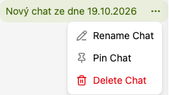 The conversation menu in the history with Rename, Pin and Delete.